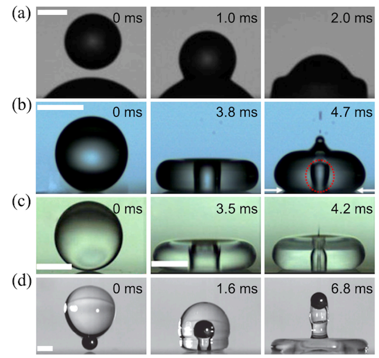 1754314223841056.png 1.6.png