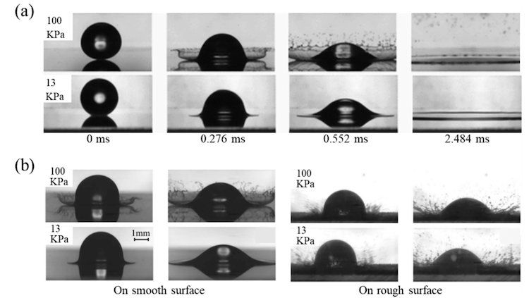 1754314432560790.png 1.13.png