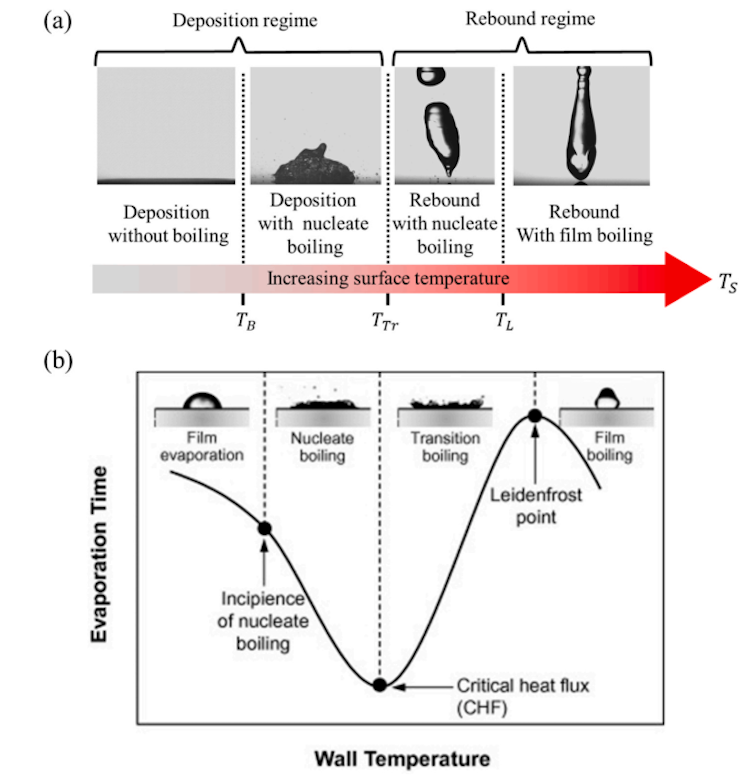 1754314453520641.png 1.14.png