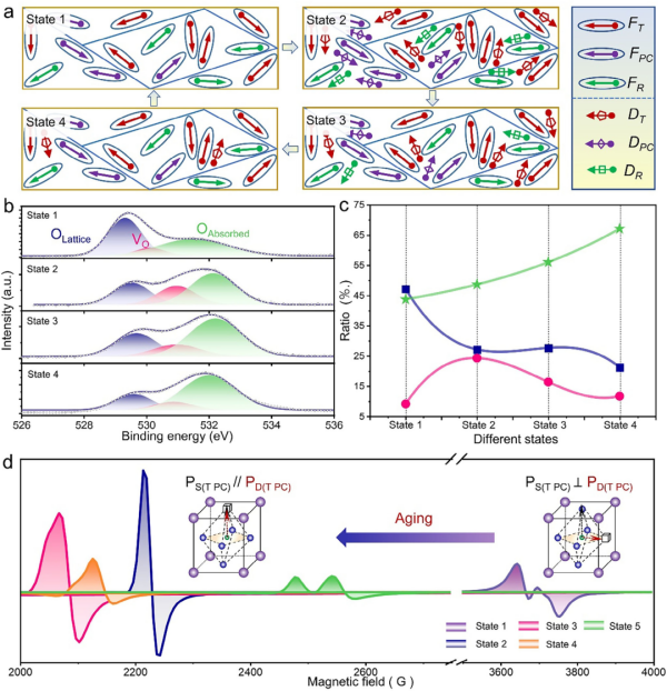 1767150970273639.png 8.png